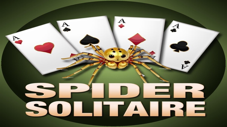 spider